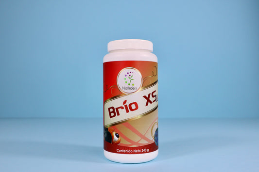 Brío XS Té